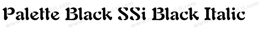 Palette Black SSi Black Italic字体转换